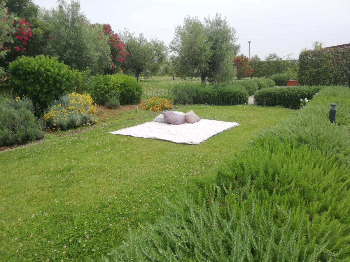 Il Casale Degli Ulivi - Agriturismo - Tenimenti Leone Lanuvio Exterior foto