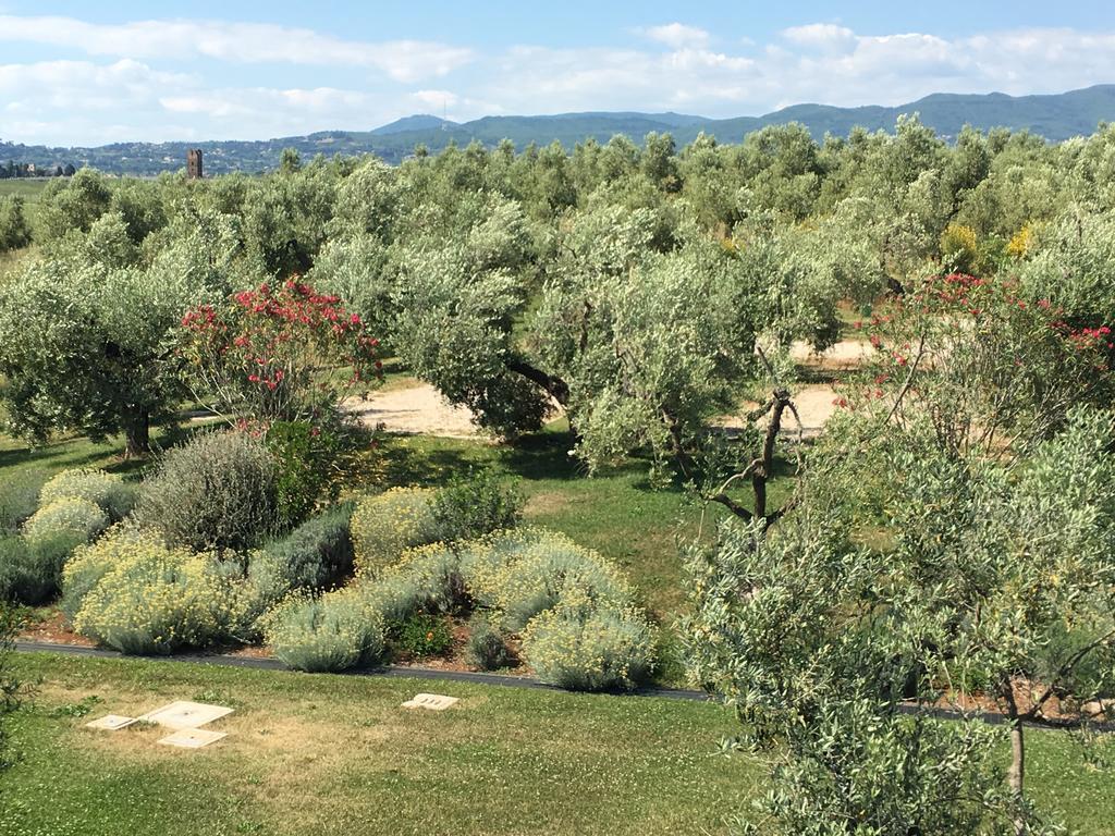 Il Casale Degli Ulivi - Agriturismo - Tenimenti Leone Lanuvio Exterior foto