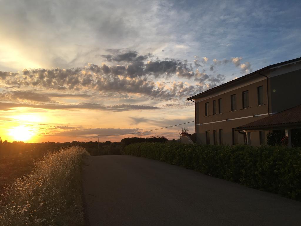 Il Casale Degli Ulivi - Agriturismo - Tenimenti Leone Lanuvio Exterior foto