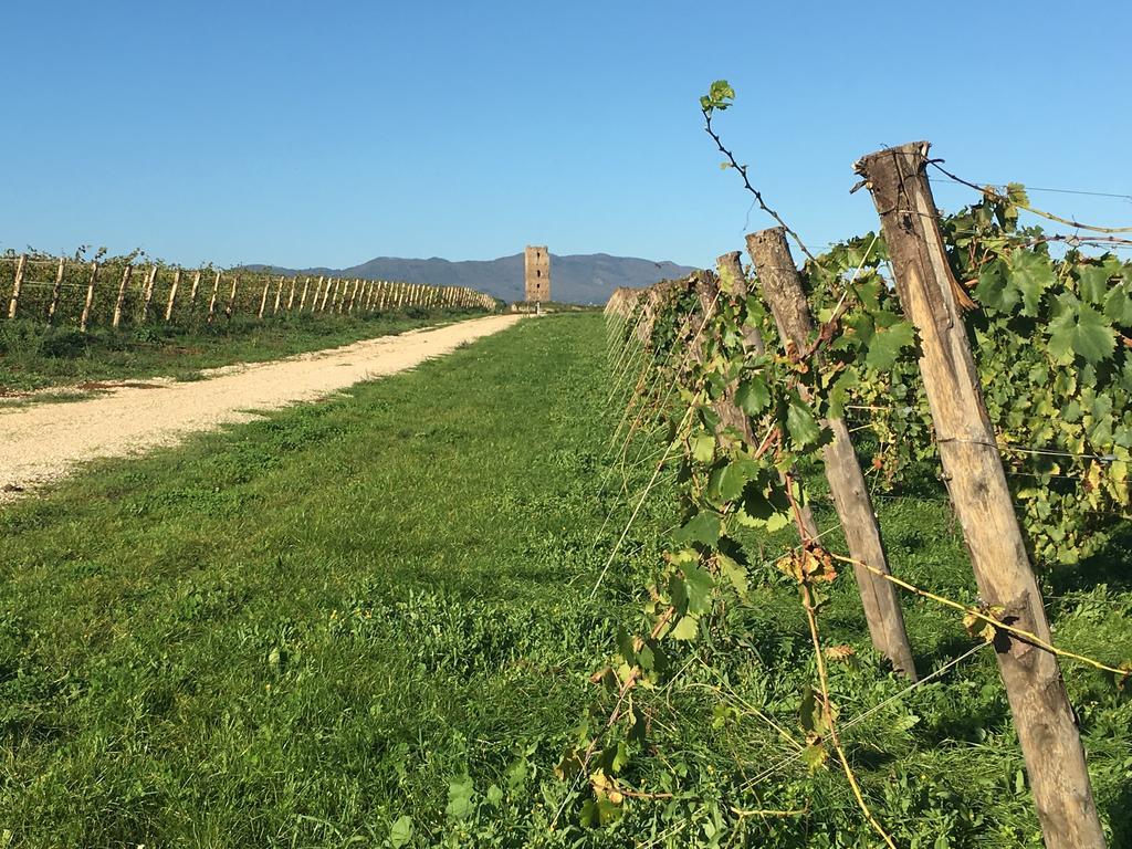Il Casale Degli Ulivi - Agriturismo - Tenimenti Leone Lanuvio Exterior foto