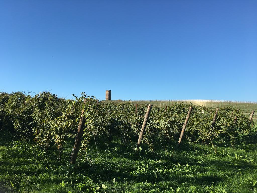 Il Casale Degli Ulivi - Agriturismo - Tenimenti Leone Lanuvio Exterior foto