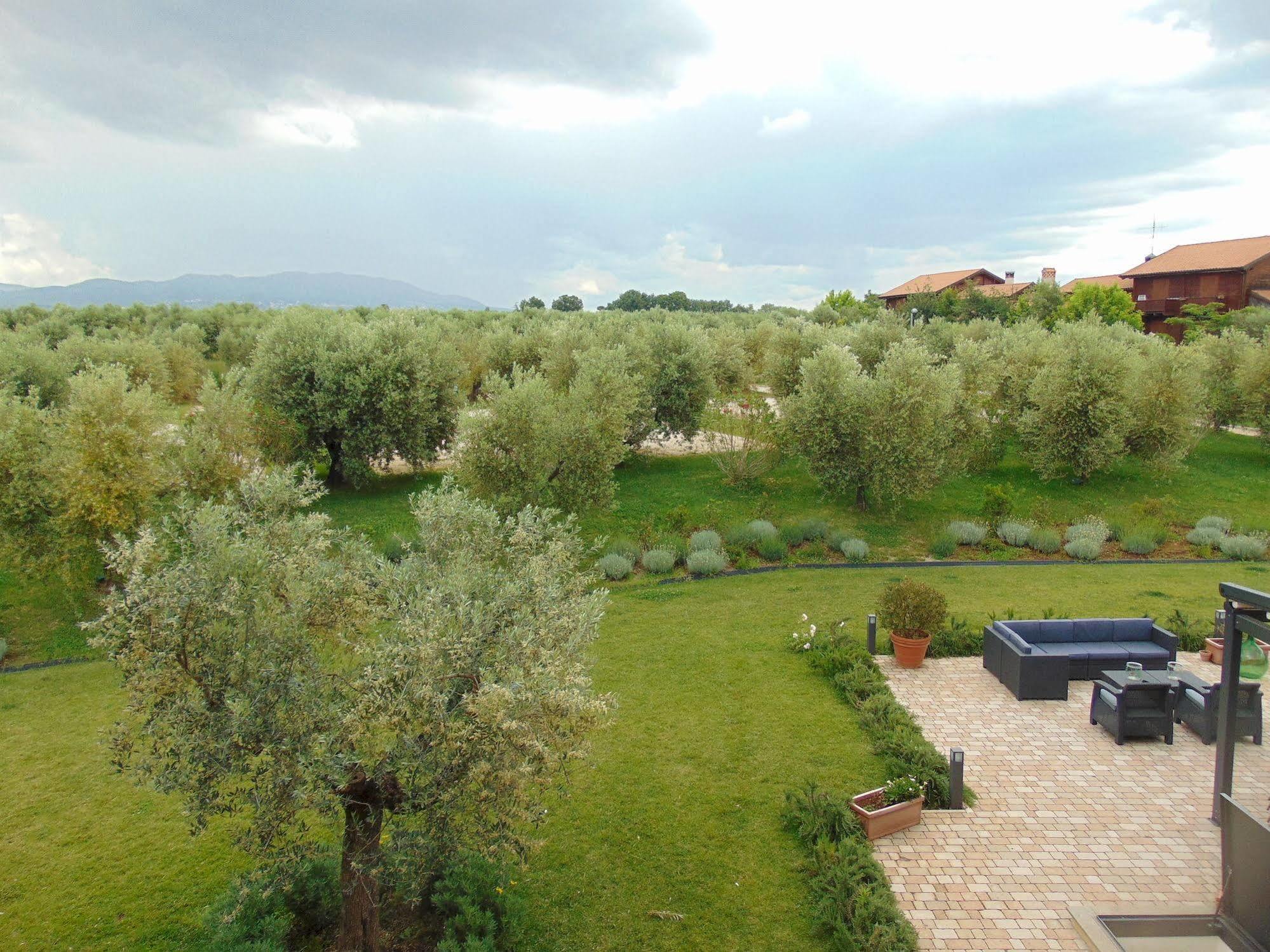 Il Casale Degli Ulivi - Agriturismo - Tenimenti Leone Lanuvio Exterior foto